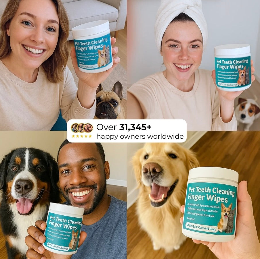 Pet Dental Finger Wipes