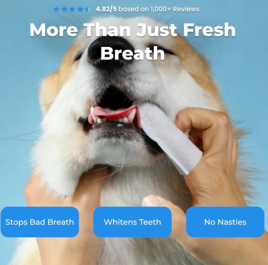 Pet Dental Finger Wipes