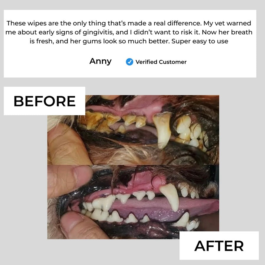 Pet Dental Finger Wipes